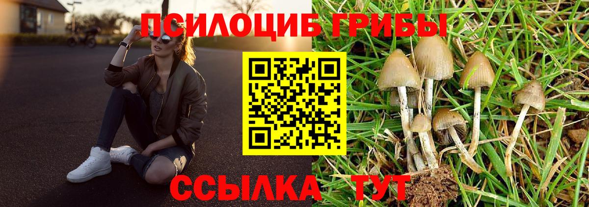 Галлюциногенные грибы Cubensis  Галлюциногенные грибы прущие грибы  Вход с VPN  Батайск 